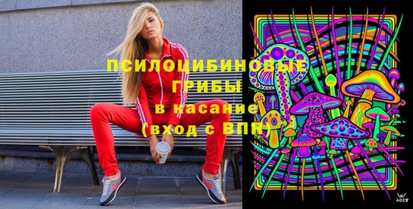 прущий лед Алексин
