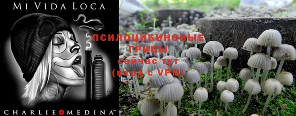 прущая мука Армянск