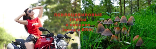 спиды Алексеевка